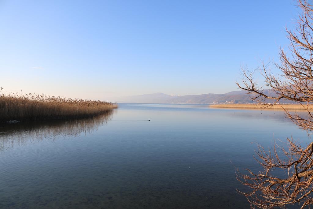 Hotel Montenegro Struga Luaran gambar